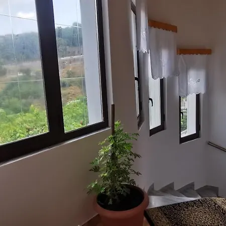 Hotel Hazmurat *
